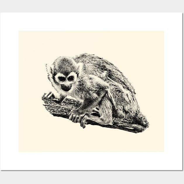 Squirrel monkey Wall Art by Guardi